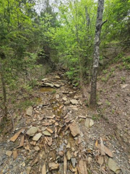 24 Holly Rd, Henryetta, OK 74437